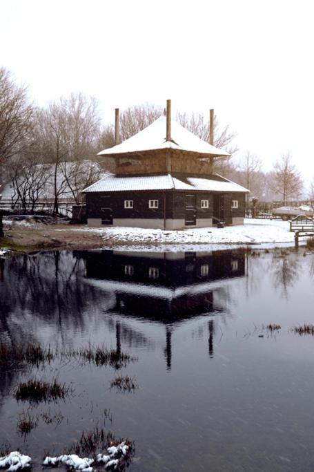 Landgoed Groot Boerle Bed & Breakfast Wijhe ภายนอก รูปภาพ