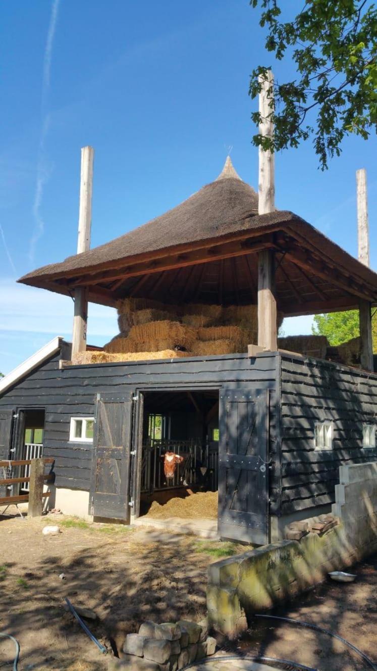 Landgoed Groot Boerle Bed & Breakfast Wijhe ภายนอก รูปภาพ