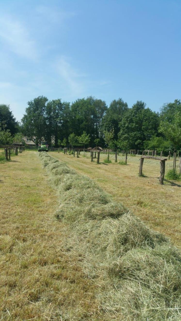 Landgoed Groot Boerle Bed & Breakfast Wijhe ภายนอก รูปภาพ